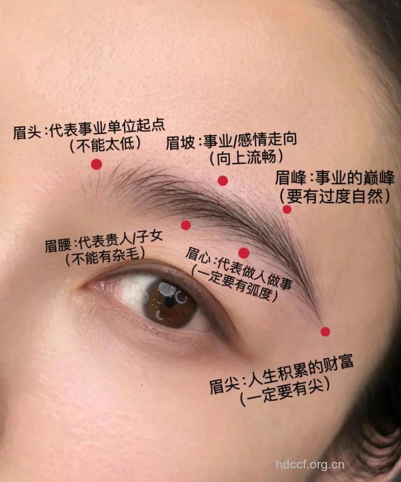 女人：你的眉毛反映出你的健康状况！