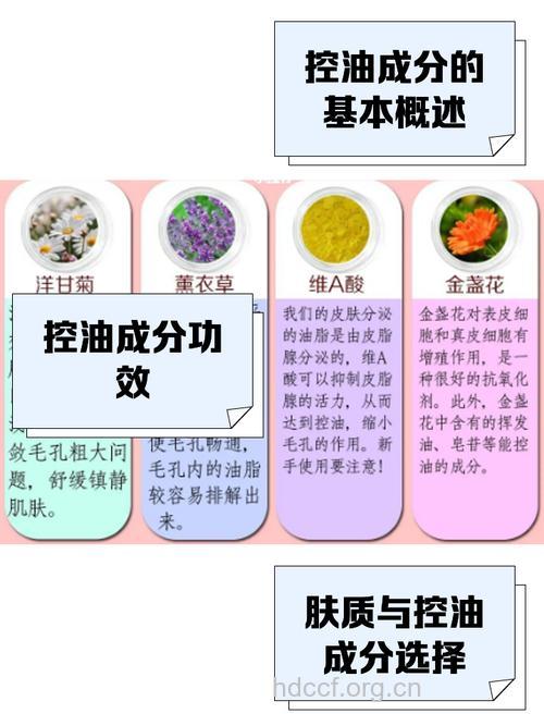 夏季肌肤有什么控油秘方