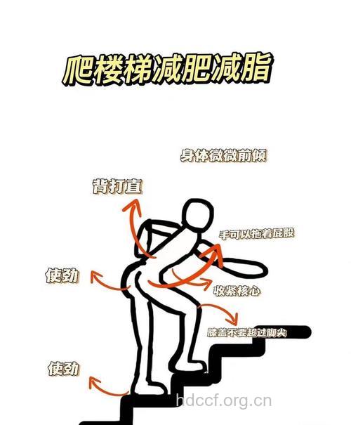 健身轻松的爬楼梯减肥法