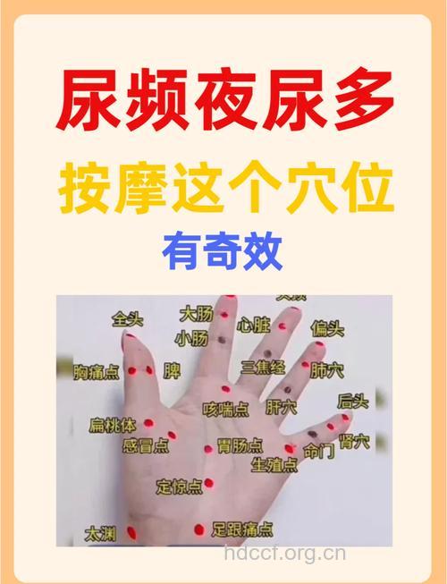 中老年人如何应对夜尿频多