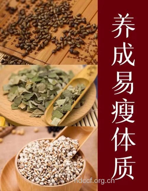 哪些中药适合产妇减肥