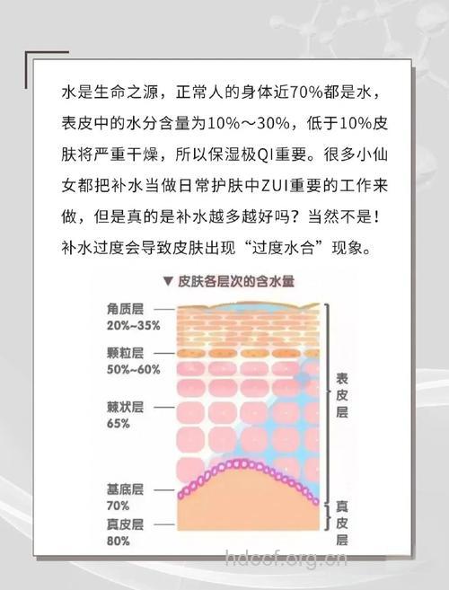 伤害肌肤的几种护肤成分