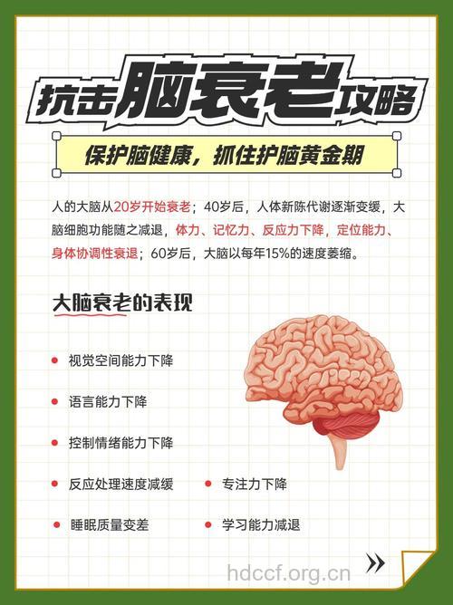 老年人怎么预防脑衰方法