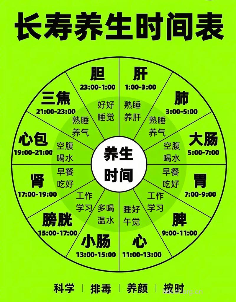 老年人保健可按时间走