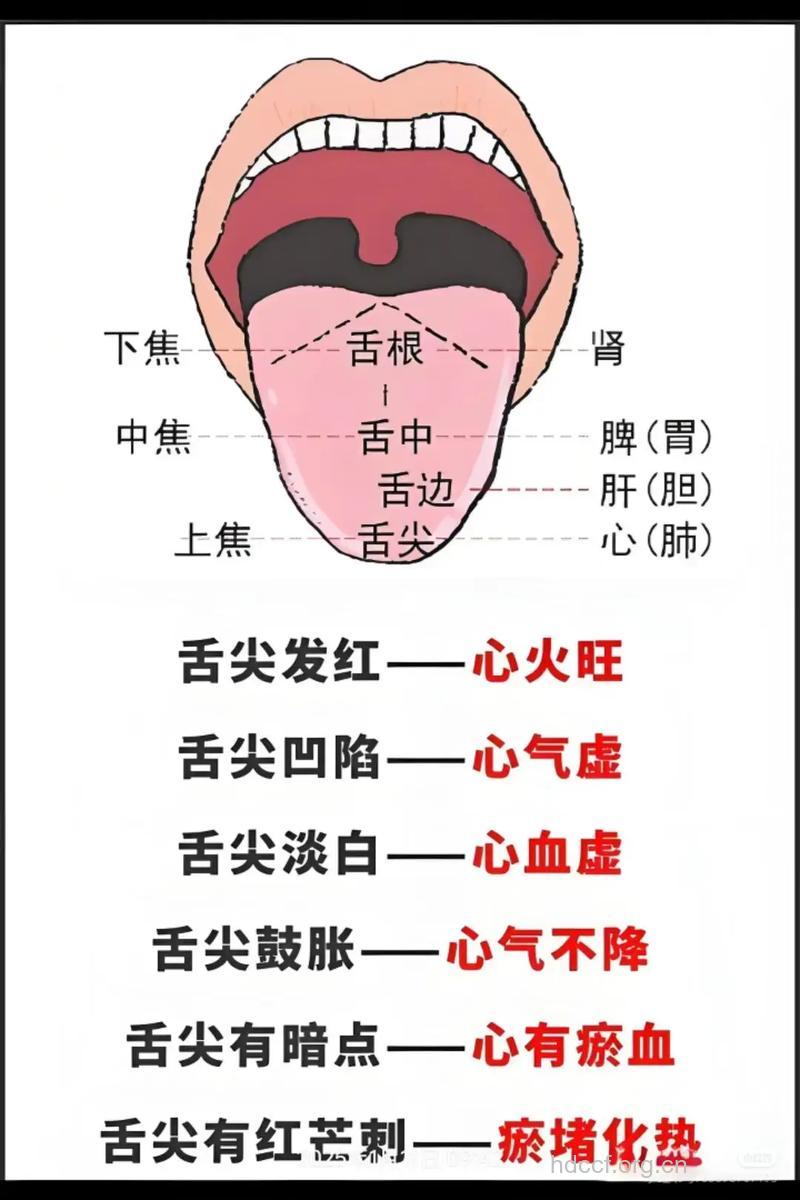 动舌头健五脏 强身延衰