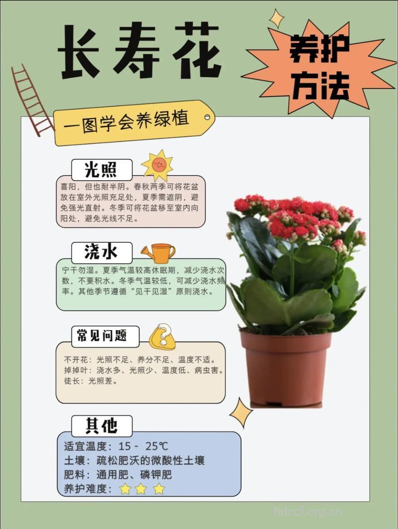 只花1分钟就能增寿的方法