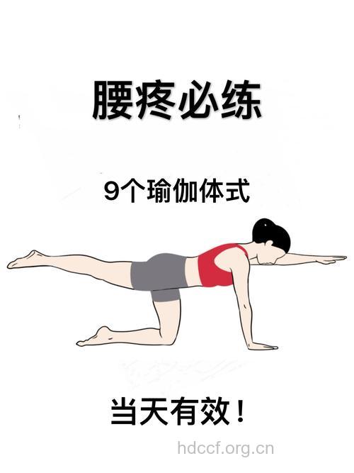 推荐 有助瘦腰的健美操