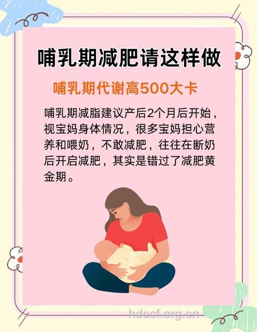 产后不影响哺乳的减肥方法