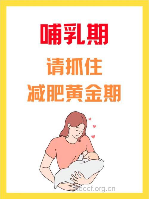 哺乳期减肥三大误区