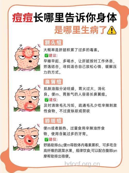 美容护肤常识,痘痘告诉你哪里生病了