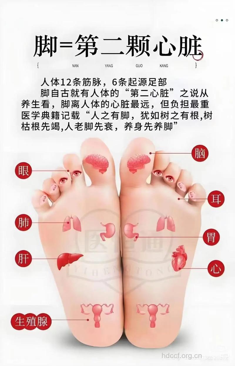 老人的脚心保健好吗