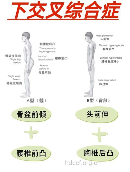 研究表明交叉双臂可减轻疼痛感