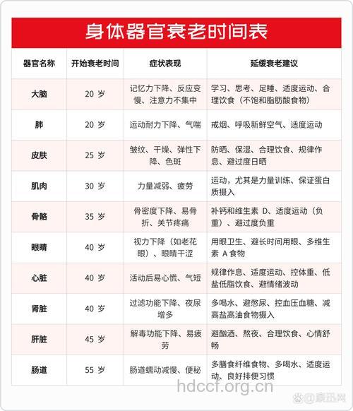 人体抗衰老的重要时间段是什么