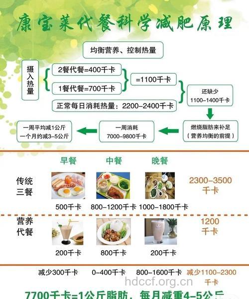 关于素食减肥的研究