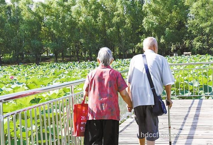老夫妻常牵手更长寿