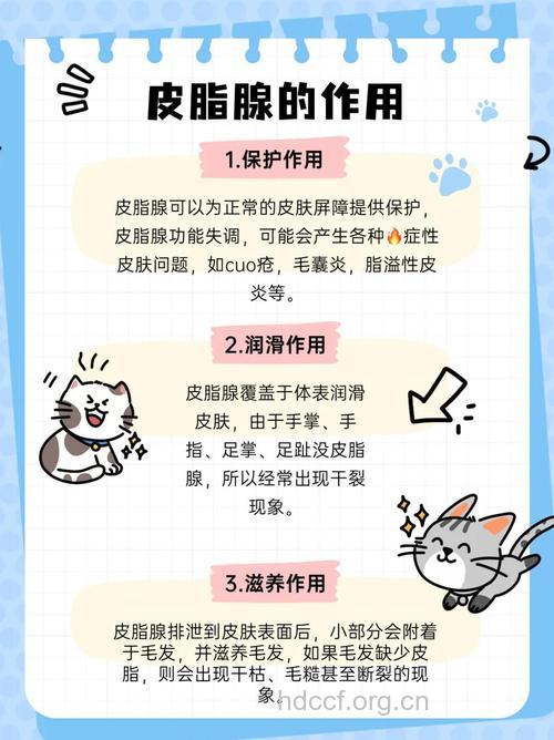 控油的5大误区控油方法
