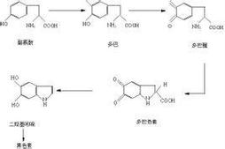 黑色素递减技术