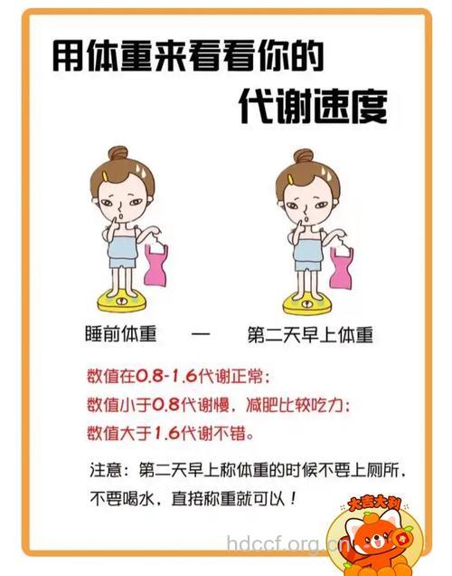 为什么有的人总是吃不胖?
