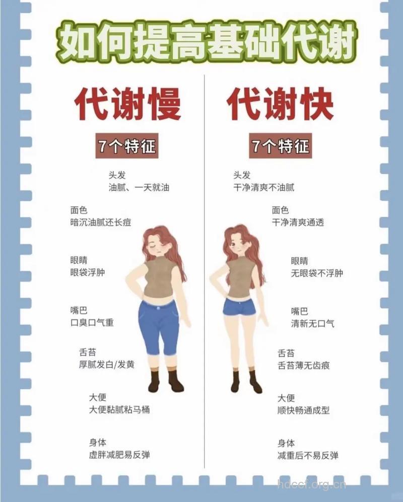 你瘦的快还是瘦的慢?关键得看基础代谢