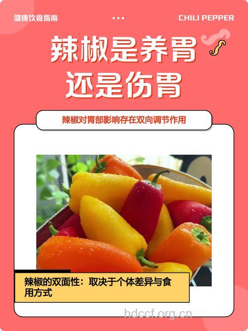吃辣椒是减肥还是伤胃 要看你怎么吃