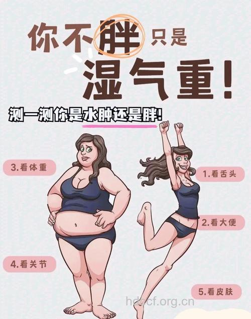 体内湿气重有哪些迹象 湿气重为什么会长胖