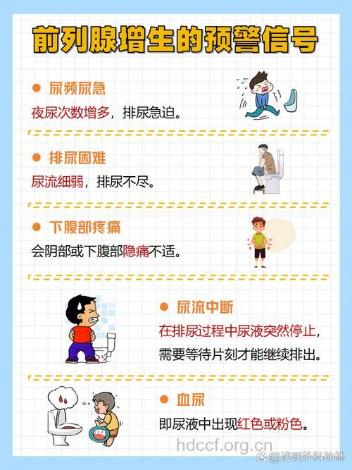 老人怎么预防前列腺增生?