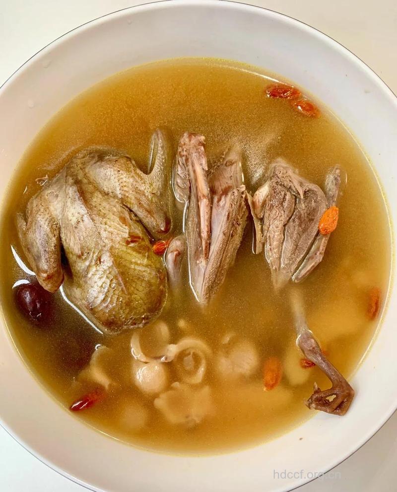 老人滋肾益气可吃鸽子肉