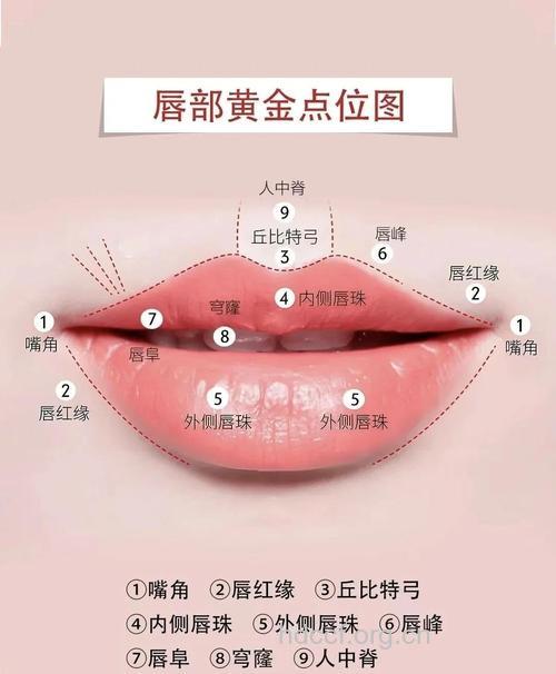 常见的唇部整形方法有哪些