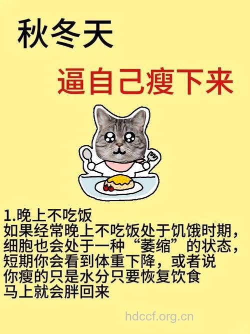 你还在减肥吗?感谢那么认真减肥的自己