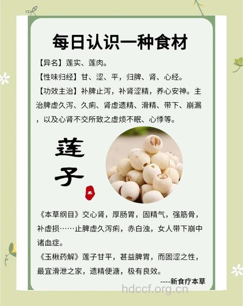 莲子 老人多吃可抗衰老
