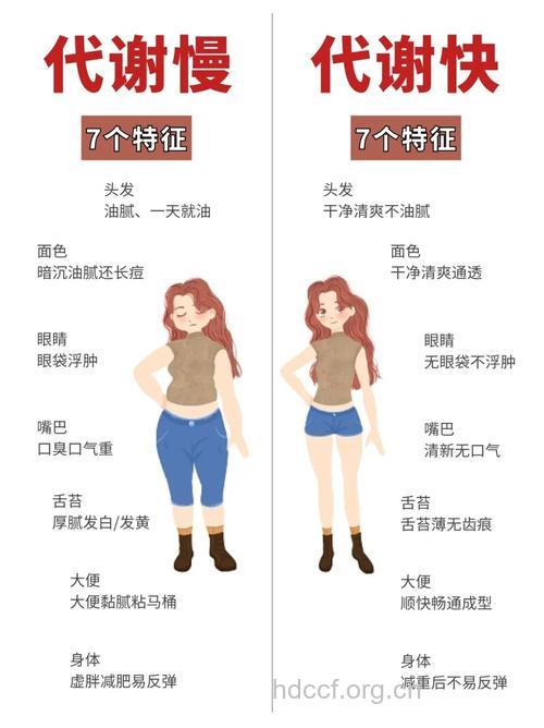 减肥不成功是体质问题？如何成为易瘦体质