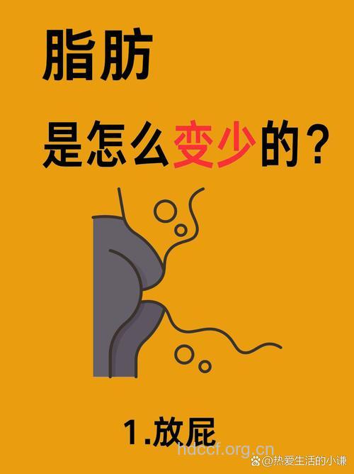 脂肪为什么会缠上你 就是因为这9点