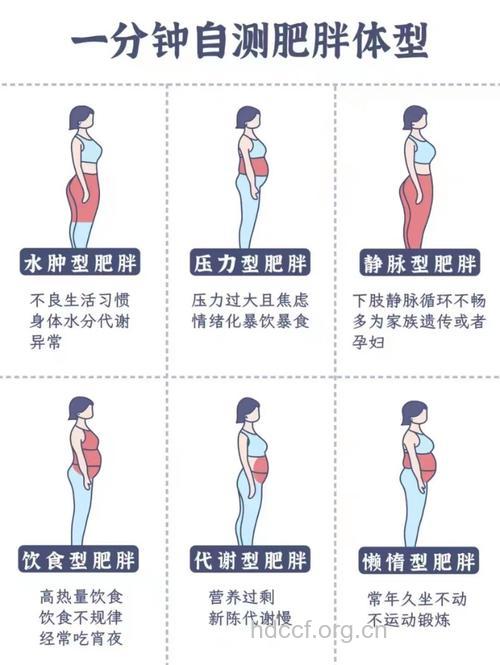 两招测出自己是不是肥胖体质