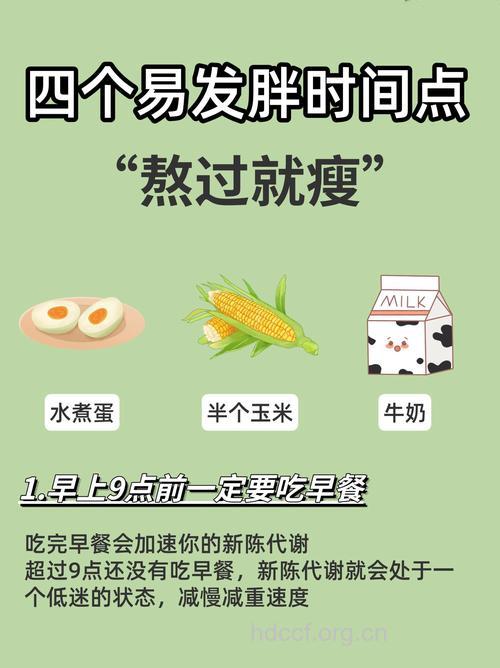 易胖体质不知道该怎么减肥？看看这4点吧