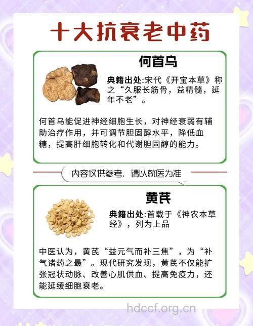 抗衰老十大秘方