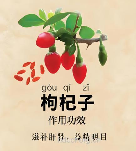 善服枸杞 延年益寿
