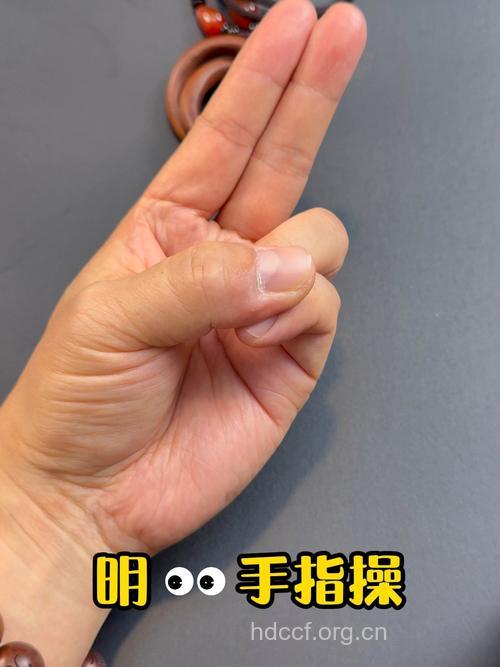 天天动动手指眼不花