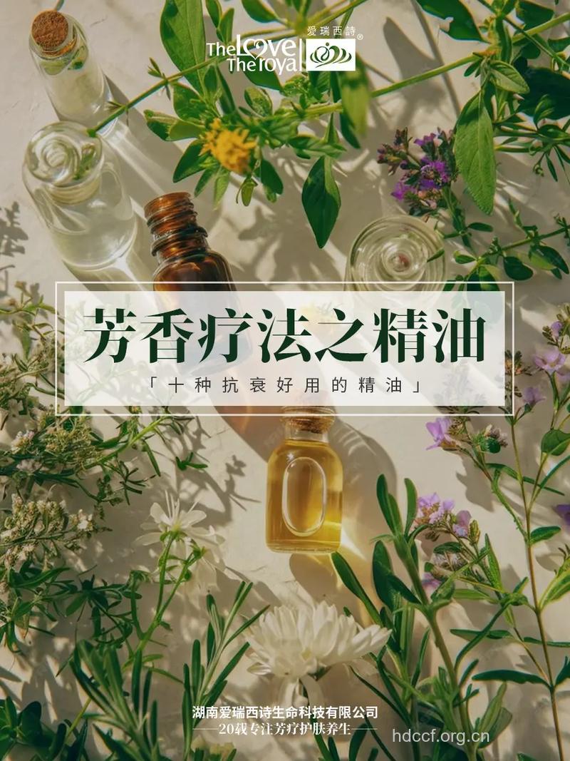 精油养生抗衰新推荐