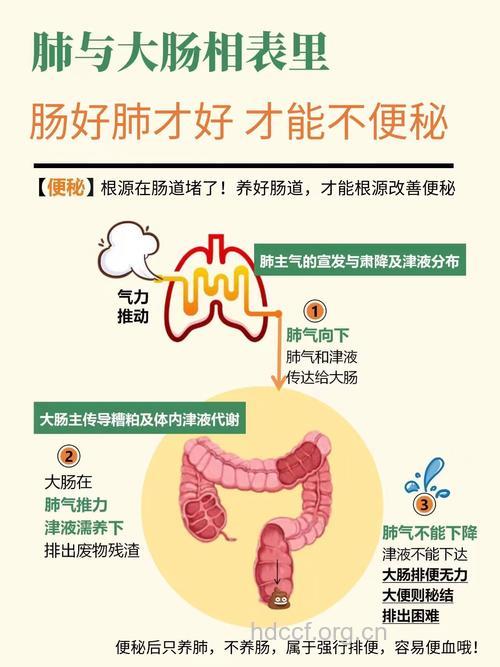 误打误撞治好多年便秘