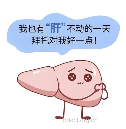 小心勿让肝脏“胖”起来