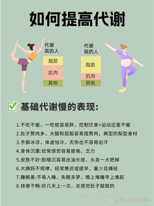 基础代谢率低直接影响体重 提高代谢的方法