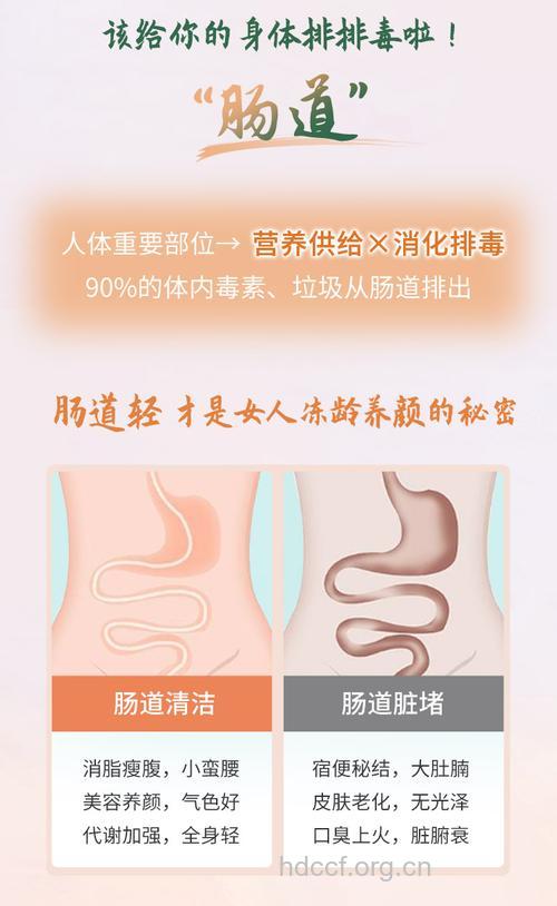 抗击衰老 排毒清肠美容法