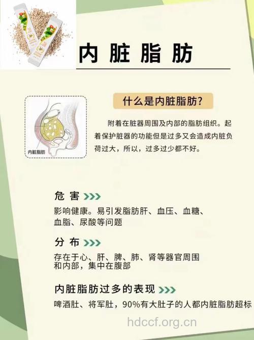 内脏脂肪危害大 教你4招减掉内脏脂肪