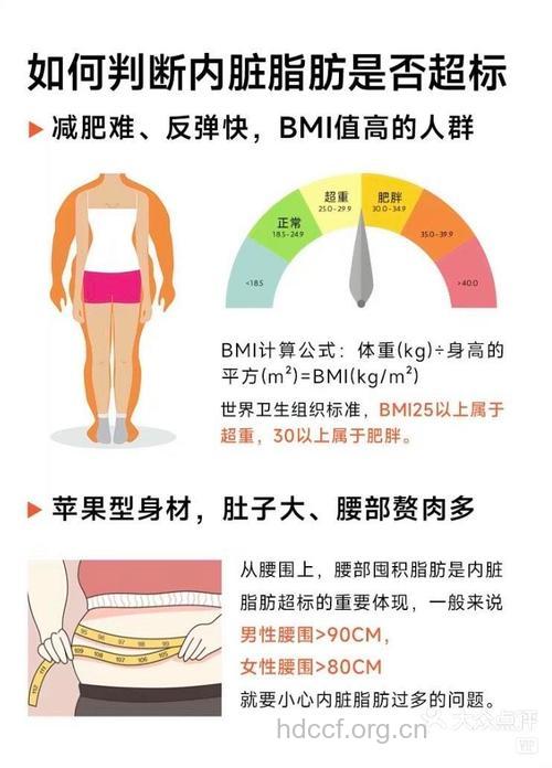 怎么知道自己的内脏脂肪是否超标?