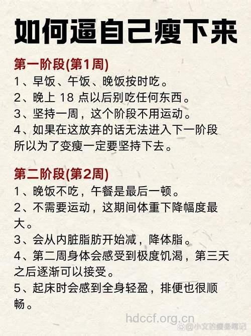 过午不食减肥法 两周瘦10斤要科学