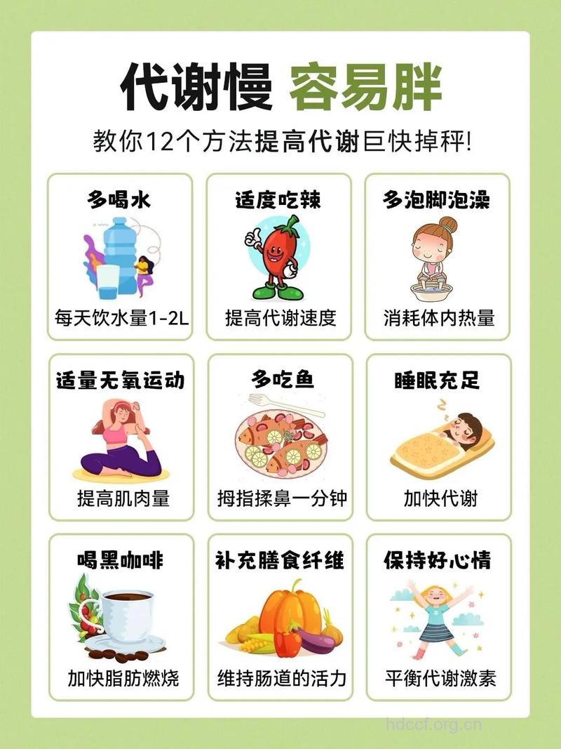 代谢一慢胖终身 怎么提高新陈代谢好