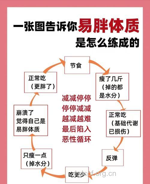 改变易胖体质 有这6个方法就够了