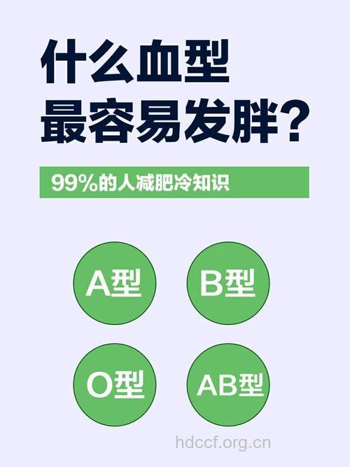 今天才知道 这种血型的人最容易胖
