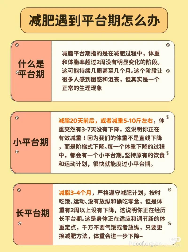 减肥遇到平台期难再瘦?几个方法帮你解决