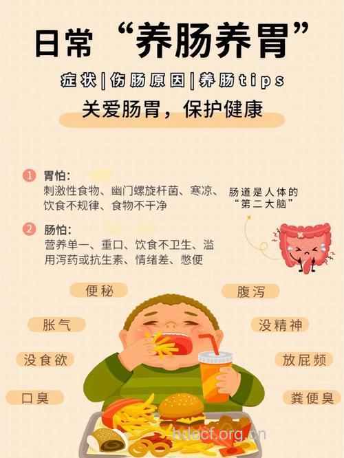 揭秘:老年人的消化道保养秘方